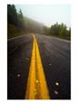 Road Traveling Through a Foggy Mountain Forest