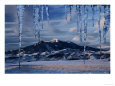 Icicles Hanging in Front of Mountain, Bridger Mountains, Gallatin Valley, USA