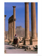 Rider on Camel Walking along the Colonnaded Street of Ruins, Palmyra, Syria
