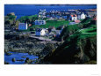 Village on Coldingham Bay, St. Abb
