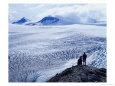 Hikers Looking Over Exit Glacier and Harding Ice Field, Kenai Fjords National Park, USA
