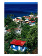 Overhead of roofs of houses, trees and ocean, west coast, Saint Joseph, Dominica