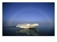 Iceberg Remains Stranded above the Receding Tide