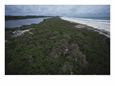 Aerial View of a Forest Elephant in Gabons Loango National Park