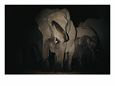 Elephants Gather at a Water Hole at Night Animals Elephants