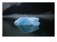 An Iceberg Rises out of the Icy Waters of Southeast Alaska