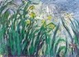 Irises
