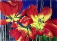 Fleurs Rouges