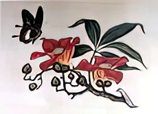Butterfly and Flower