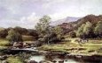 On the Lledr North Wales
