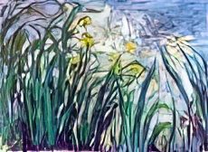 Irises