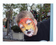Hold that Tiger