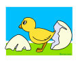 Chick