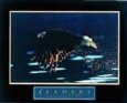 Leaders-Bald Eagle