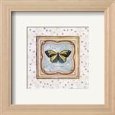 Butterfly II