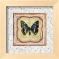 Butterfly III
