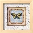 Butterfly II