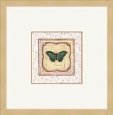 Butterfly IV
