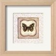 Butterfly I