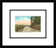 Mohawk Trail, Berkshire Hills, Mass.