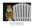 Sentinel