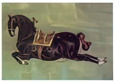 Black Horse Curioso