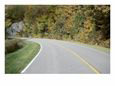 Highway Through Autumn Forest
