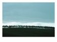 Tree Line - Rockies, Nevis