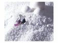 Butterfly over Foam Bugs & Insects Butterflies & Moths