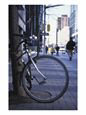 Bicycle Leaning Against Tree on City Street