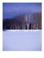 Forest at Edge of Snowy Field