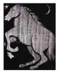 Night Mare