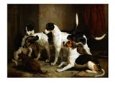 The Puckeridge Foxhounds Rantipole, Rummager, Racer, and Reveller