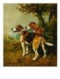 Cossack and Ringwood