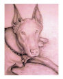 Nice Doggy