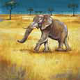 On the Plains III