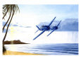 WWII, Grumman F6F Hellcat Hawaii