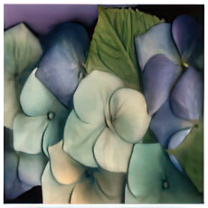 Rhapsody I