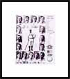 1903 Red Sox Championship