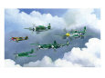 Army Fighters of WWII