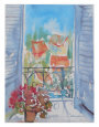 View from a Window