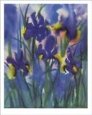 Irises I