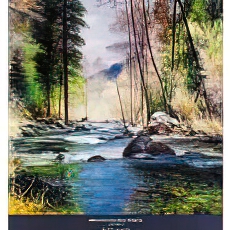 Abounding Oak Creek