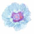 Blue Flower