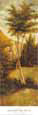 Canyon del Sol II