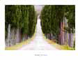 Viale Toscana