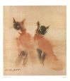 Siamese Cats
