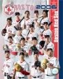 Red Sox 2006 Team Composite