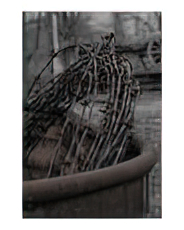 Jill Spencer Barbed Wire Poster
