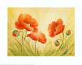 Fun Poppies